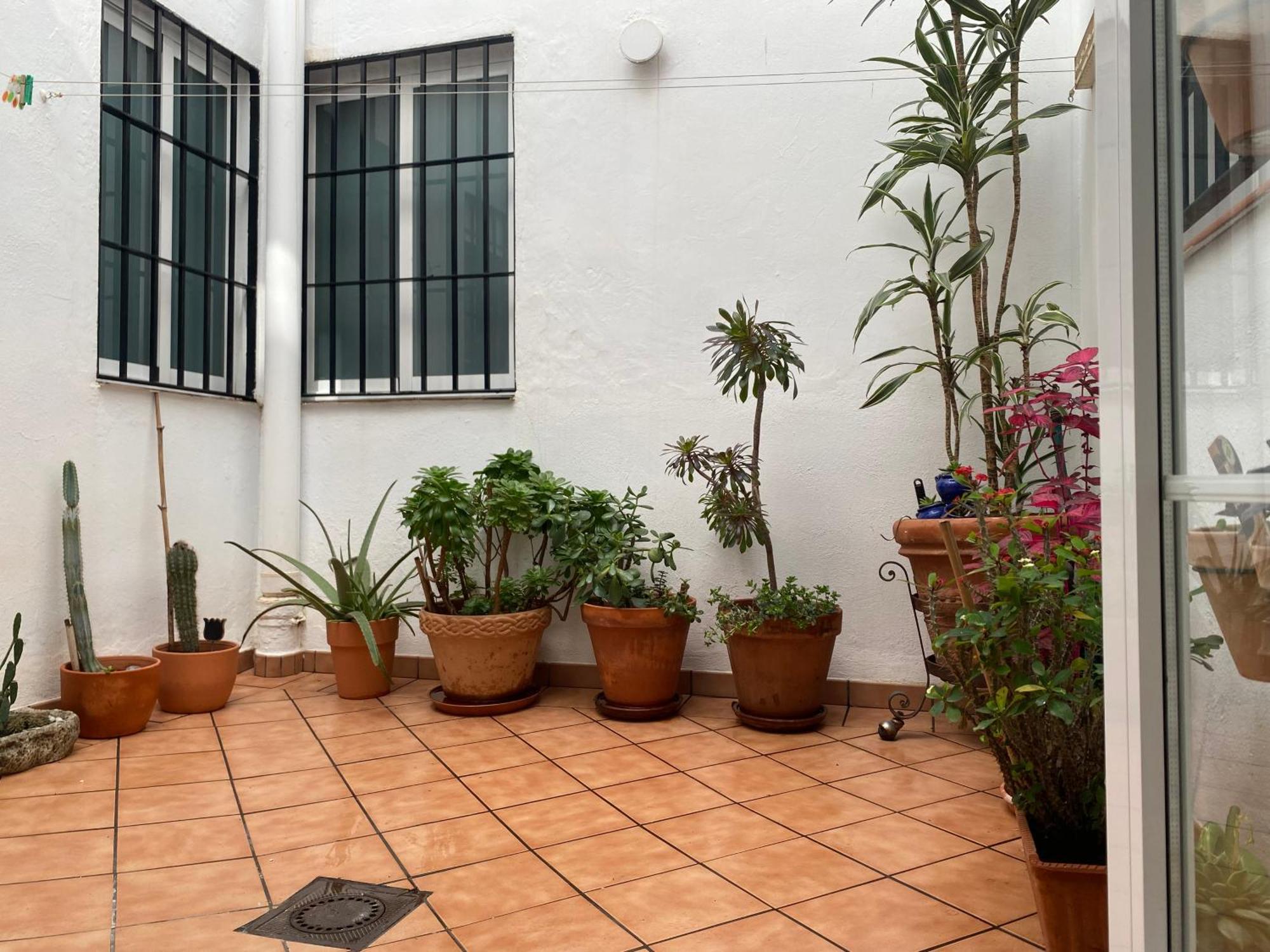 Apartament Enmitatiko Alcazar Viejo Kordoba Zewnętrze zdjęcie