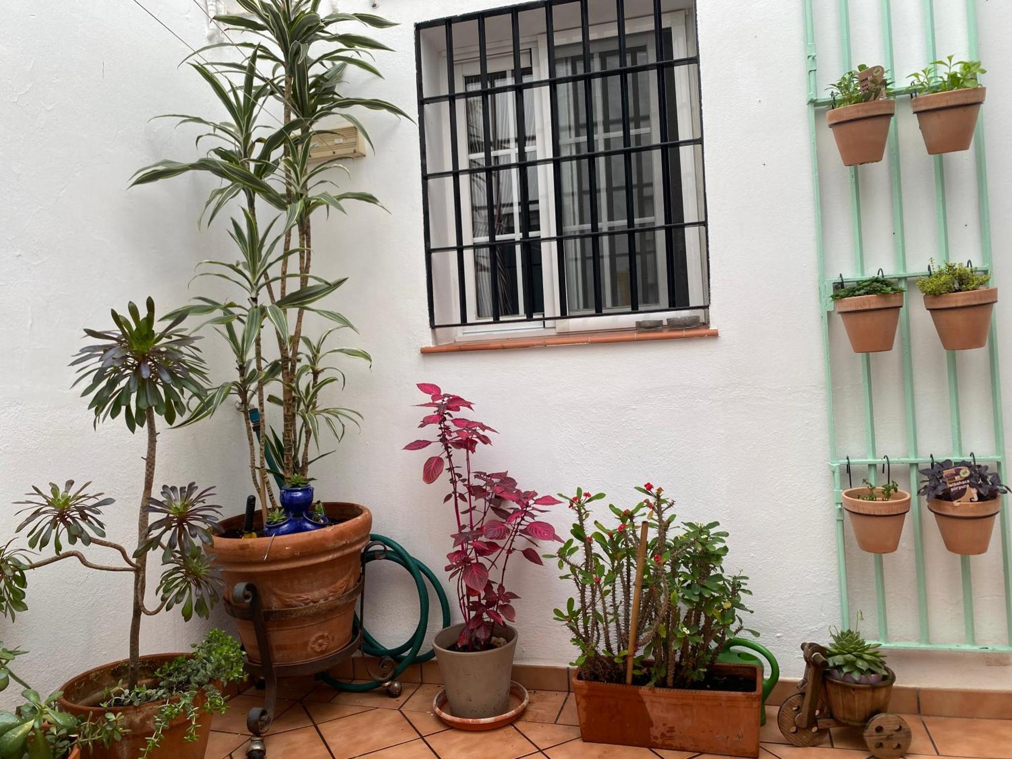 Apartament Enmitatiko Alcazar Viejo Kordoba Zewnętrze zdjęcie